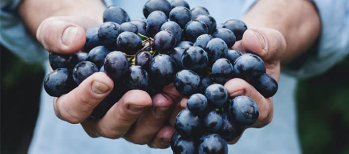 grapes